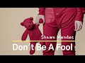 Shawn Mendes - Don't Be A Fool (Lyrics)