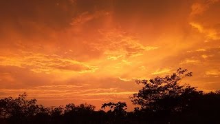 Undulatus asperatus clouds | Time Lapse