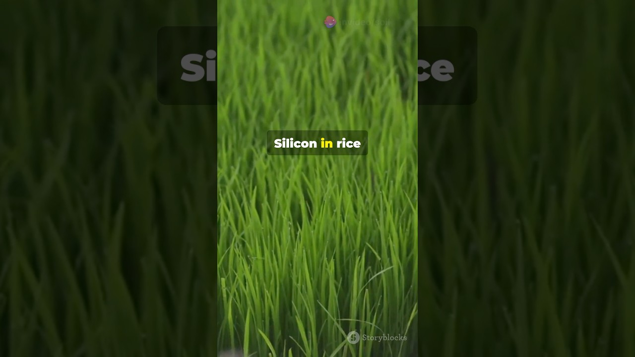 Quasi-essential nutrients