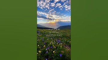 اذكار الصباح حصن المسلم حصن نفسك ب أذكار الصباح والمساء