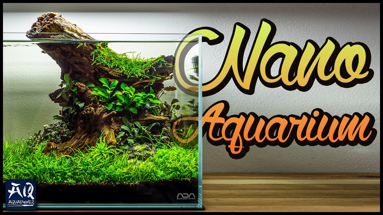 Nano Aquarium einrichten Schritt für Schritt AquaOwner Nano Aquarium einrichten Schritt für Schritt AquaOwner