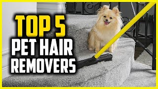 ✅Best Pet Hair Removers in 2024