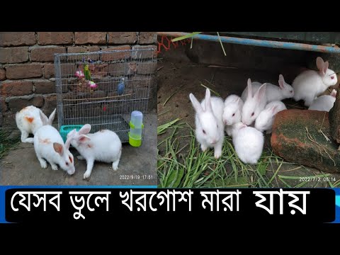 ভিডিও: শিশুদের খেলনা 