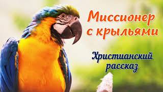 🟥Миссионер с крыльями. ИНТЕРЕСНЫЙ ХРИСТИАНСКИЙ РАССКАЗ. Христианские рассказы