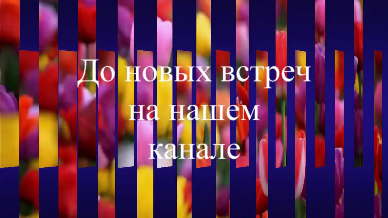 Тюльпан махровый Blue Wow купить, цена