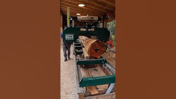 Finally Back On The Sawmill Milling Premium Logs #woodlandmills #youtubeshorts #youtube #shorts #diy
