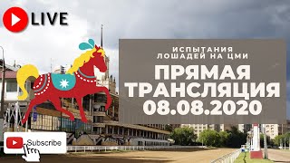 08.08.2020. Прямая трансляция с ЦМИ. Август только начинается.