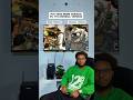 PVZ Tree Meme Version Vs. It's Original Version #shorts #music #trending #memes #fyp
