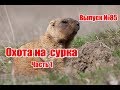 Охота на  сурка | Часть 1 | Выпуск №85 (UKR)