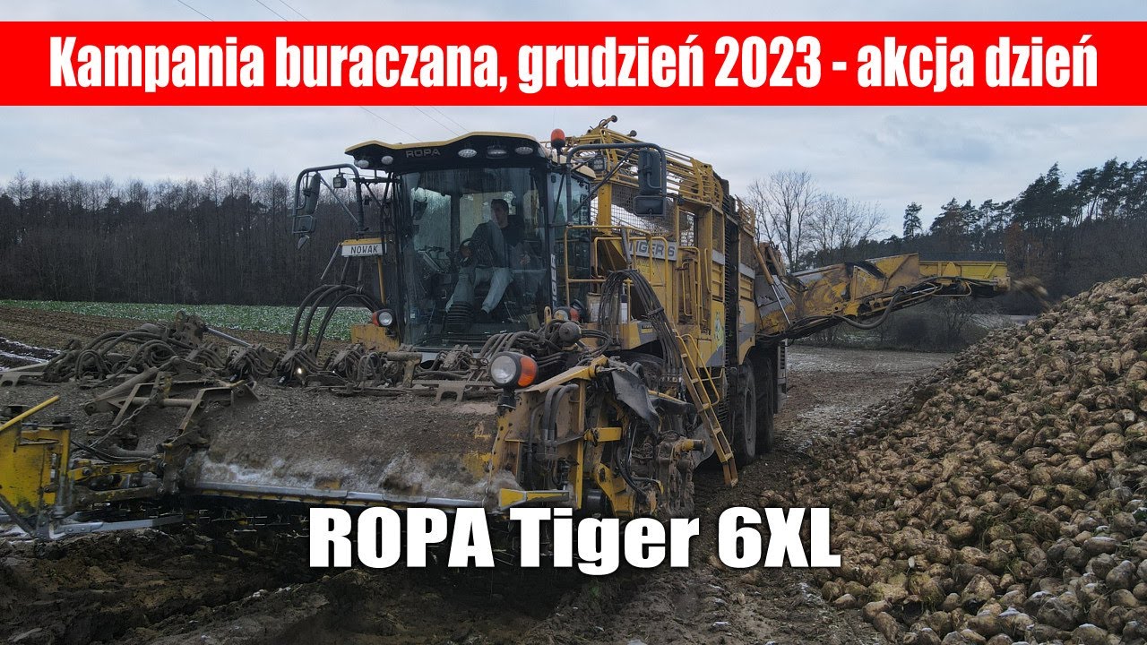 maxresdefault ROPA Tiger 6XL, kampania buraczana   grudzień 2023   akcja dzień
