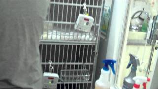 Misha May's Wally spends his time in the isolation unit - how you can help
