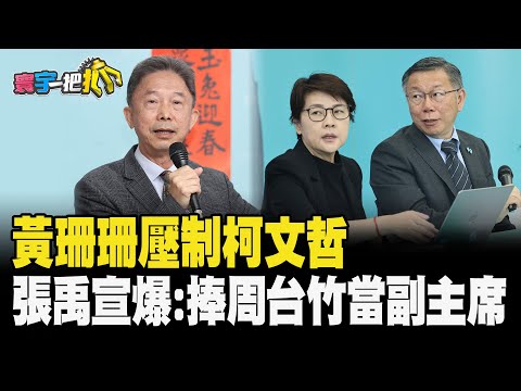 黃珊珊壓制柯文哲 張禹宣爆:捧周台竹當副主席20240124【#寰宇一把抓】P3 #張禹宣 #蕭敬嚴 #徐弘庭 #戴瑋姍