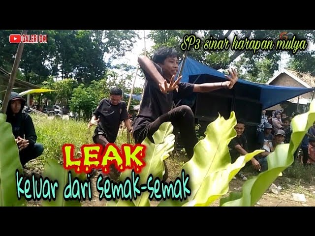 leak keluar dari persembunyian || jaranan turonggo mulyo sp 3 sinar harapan mulya teluk gelam oki class=