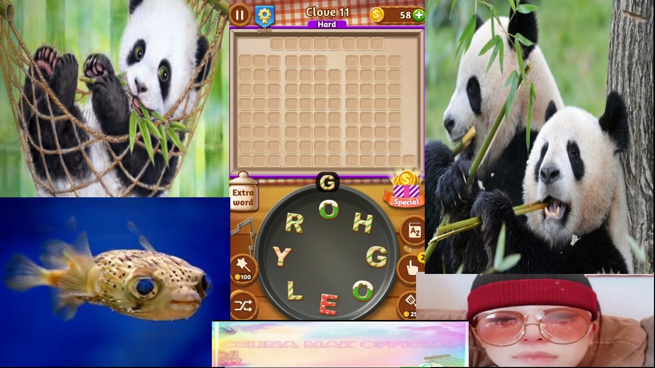 {Word Cookies} Astounding Chef Clove levels - level 1 to 20 (celina mak official)