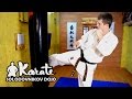 Взрывной лоу кик / Low kick  kyokushinkai karate / Маваши гери гедан киокушинкай каратэ