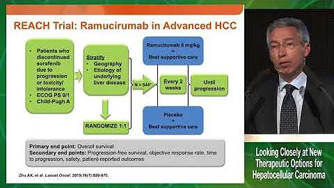 HCC under the microscope: From bench to bedside