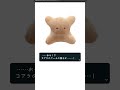 【まさかの結末】おや!?コアラのマーチの様子が...?