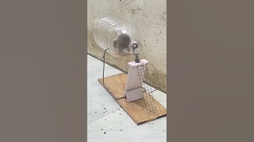 Best mouse trap idea good rat trap plastic bottle #mouse #mousetrap #rattrap #rat