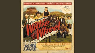 Video thumbnail of "Willie Nelson - Sweet Jennie Lee"