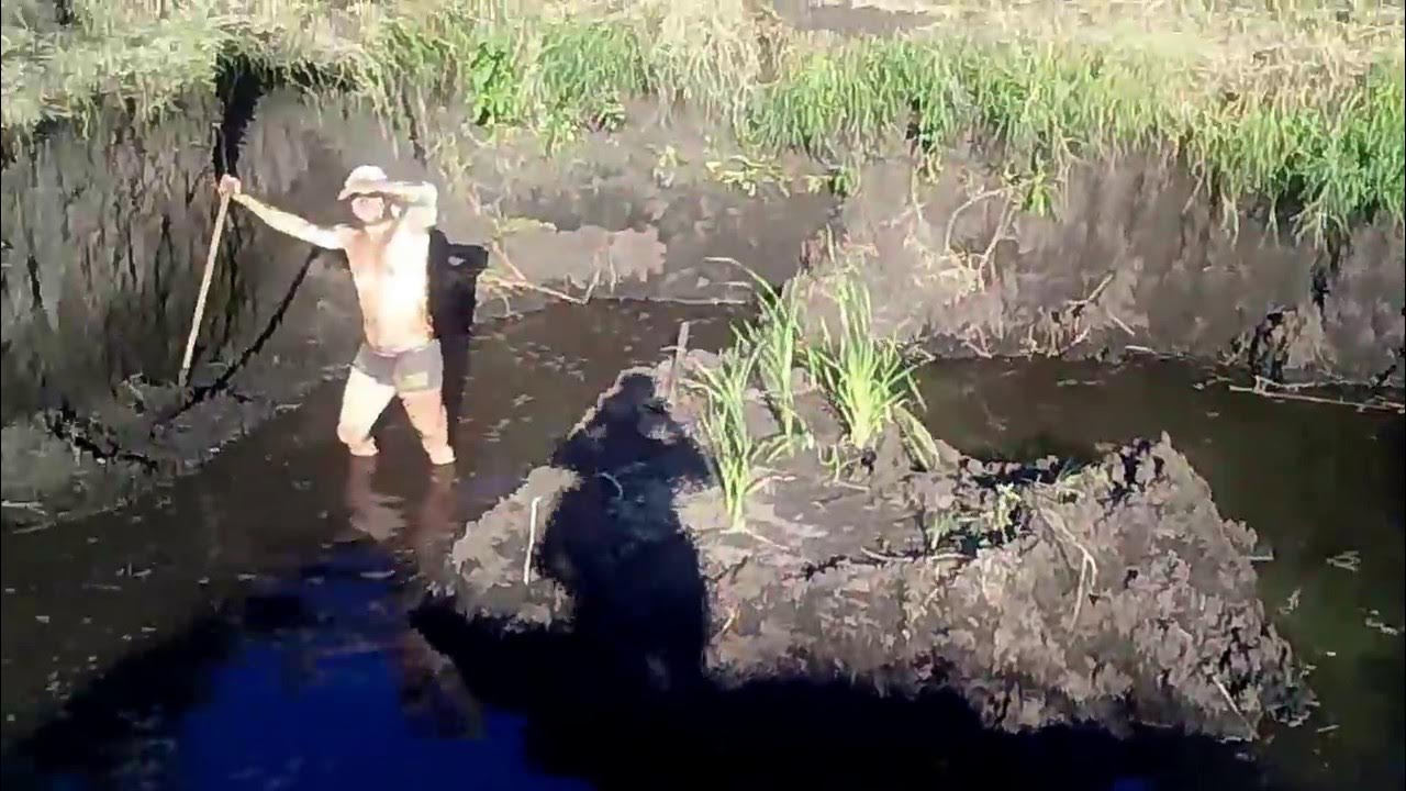 Копают озеро в сафоновском райне 2021. Корчага для ловли рыбы своими руками. Копка озера экскаватором. Копка пруда на участке. Вырыть пруд.