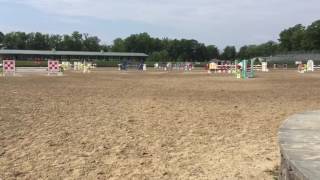 Finn 1.20 at HITS 2016