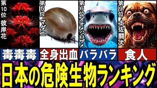 【閲覧注意】日本の危険生物 TOP10【ゆっくり解説】【総集編】