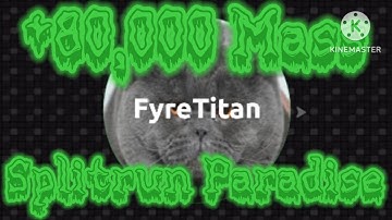 Agma.io Splitrun Paradise #1 | Best duo ever? | +80,000 Mass! | 100 Subscriber Special