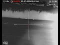 First Time Thermal Coyote Hunting 