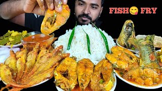 SPICY FISH CURRY EATING WITH RICE, FISH FRY, MIX SABJI, PAPAD & GRAVY MUKBANG | EATING FISH CURRY