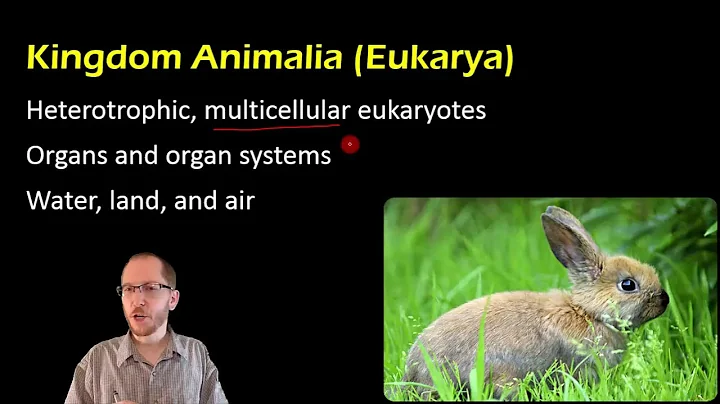 Biology:  A Brief Trip Through 3 Domains and 6 Kingdoms - DayDayNews