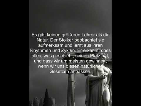 #motivation #zitate #quotes
