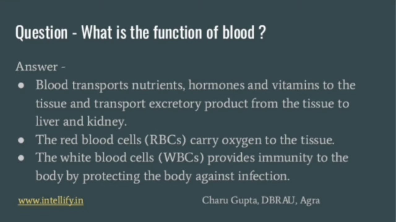 Important Questions Tissues Class 9 Science Intellify YouTube