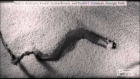 Sand-swimming robot swimming above surface, slowed 2x