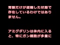 ビワの葉のアミグダリンには強い抗がんと肩こり・腰痛膝関節の痛みを和らげる作用あり