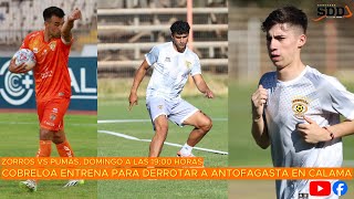 Cobreloa Entrena Para Derrotar A Antofagasta Este Domingo En Calama