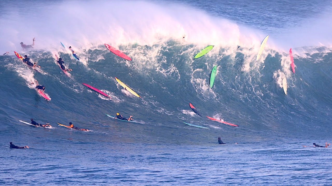 North Shore Daily Clip』2025.11.30 @ Waimea - 波伝説 ニュース