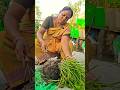 மழை #லில்லி#repotting #south #garden #organic #flowers #delhi #shorts #youtubeshorts