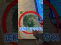 2推しビンゴ　#shorts