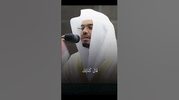 اللهم اجعل القرآن الكريم ربيع قلوبنا ونور صدورنا #قرآن #ياسر_الدوسري #اكسبلور #القران_الكريم #تلاوات