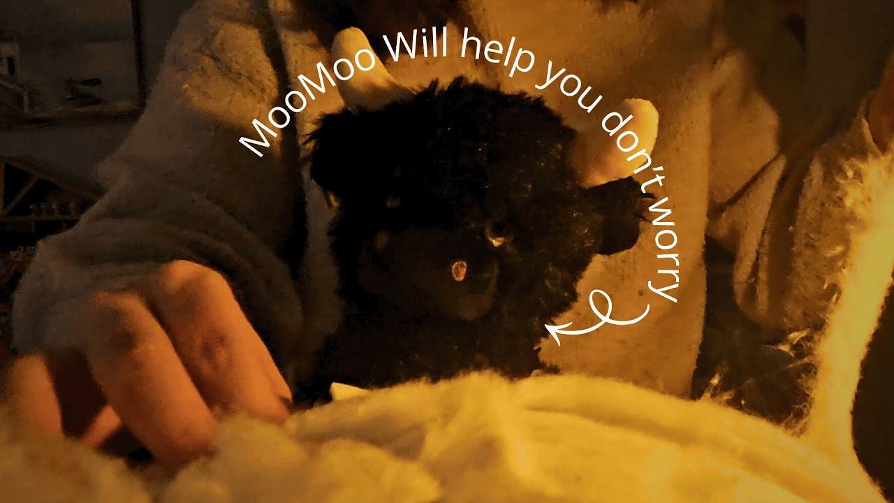 ASMR | Are You Stuck in a Cloud ? (Soft Layered sound and hands movement)