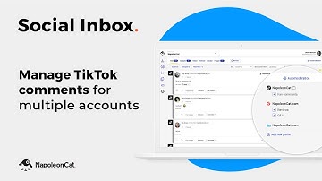 Manage TikTok comments at scale & work in a team - NapoleonCat