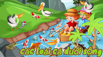 Các Loại Cá Sông | Bé Học Đọc Tên Các Loài Cá Sông Phổ Biến