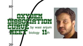 Oxygen Dissociation Curve by wasi anjum | NEET biology | 11th biology lecture