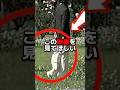 紀子様のズレた価値観 #海外の反応 #shorts #天皇皇后両陛下