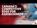 Canadas advantage for food processing companies spotlight on fumoir grizzly