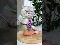 So EASY! Cat Making Korean Cheese Fried Chicken | Easy Street Food | Cat Cooking-TikTok #Shorts