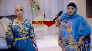 AYAAN WADANI | BISHAARIYO WAA AROOS | NEW SOMALI MUSIC 2023