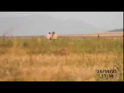 ბრაკონიერები