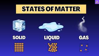 States of Matter Explained | Solids, Liquids & Gases (Shape & Volume)