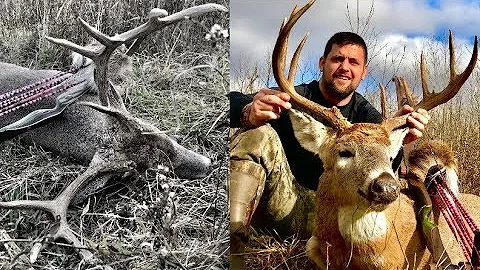Brian's Recurve Buck - Muzzy Phantom - Bear Grizzl...